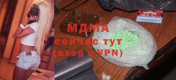 индика Елизово