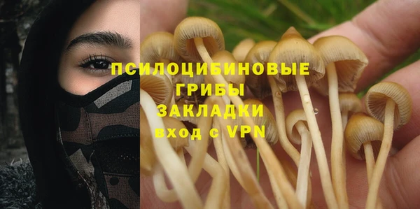 a pvp Ельня