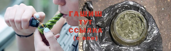 индика Елизово
