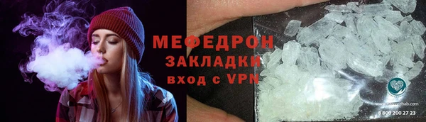 индика Елизово