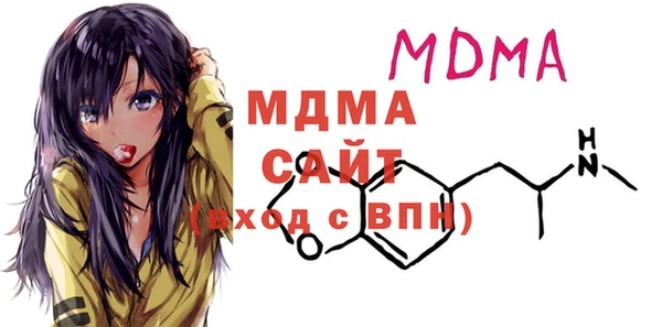 индика Елизово