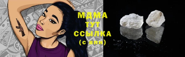 индика Елизово