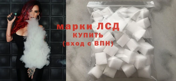 индика Елизово