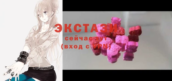 индика Елизово