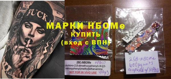 индика Елизово