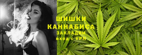 индика Елизово