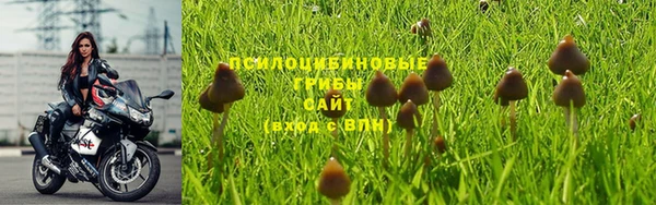 индика Елизово