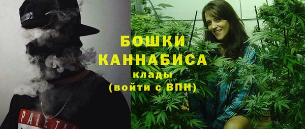 a pvp Ельня