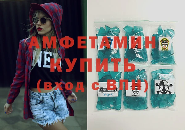 индика Елизово