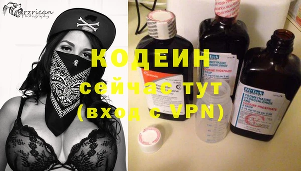 индика Елизово