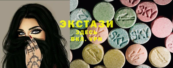 индика Елизово
