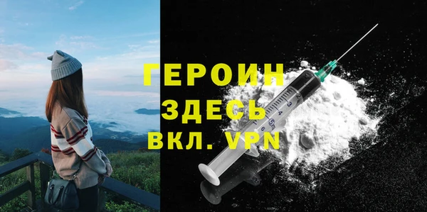 индика Елизово