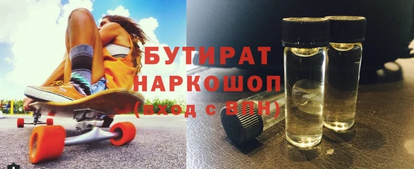 индика Елизово