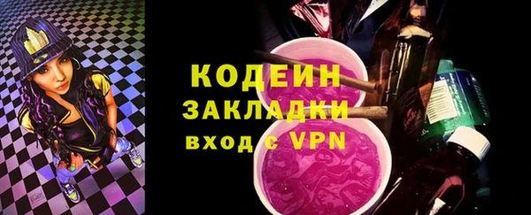 индика Елизово