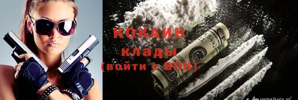 a pvp Ельня