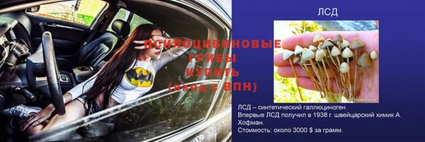 СК Елабуга