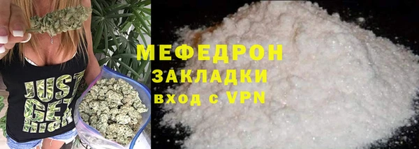 индика Елизово