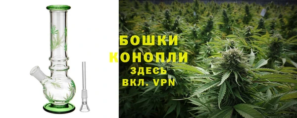 a pvp Ельня