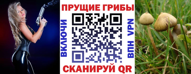 Галлюциногенные грибы Psilocybe  KRAKEN вход  Кимовск 