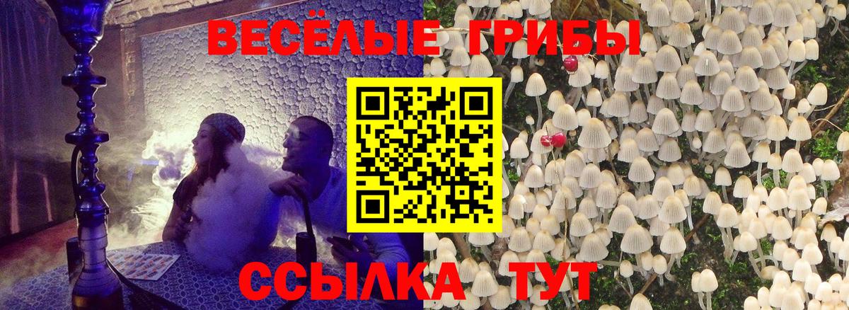 Кимовск  Галлюциногенные грибы Psilocybine cubensis  Вход с VPN 