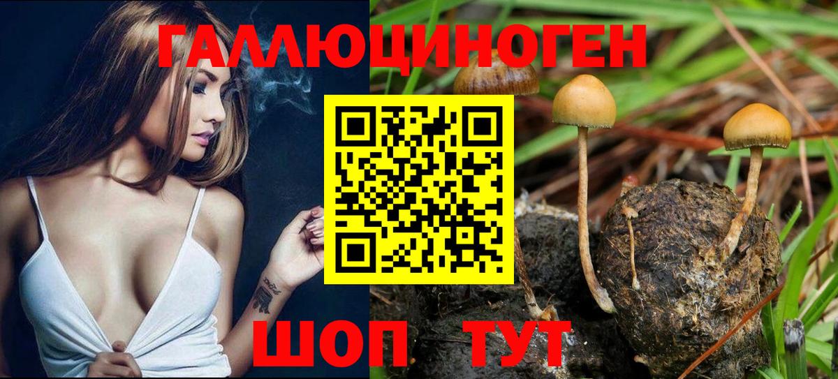 Псилоцибиновые грибы GOLDEN TEACHER Кимовск