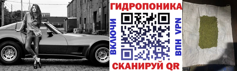 где купить   Кимовск  ссылка на мегу зеркало  Канабис марихуана 