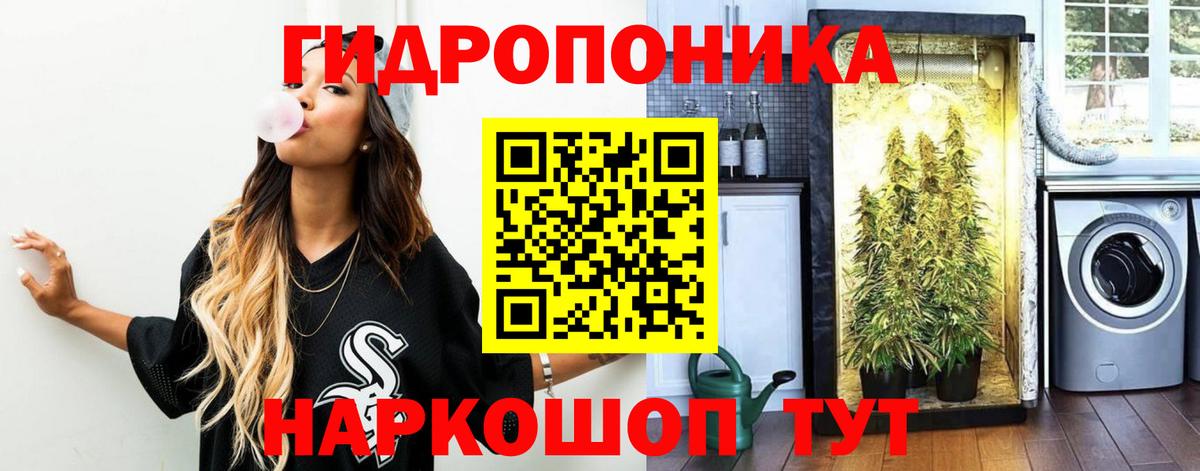Каннабис сатива Кимовск